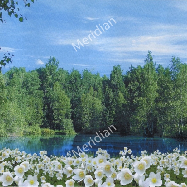 Фотошпалери 
